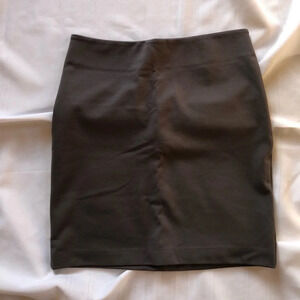 Stretchy Pencil  Skirt